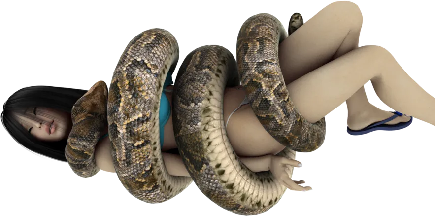 anaconda green scales, detailed texture, jungle snake png
